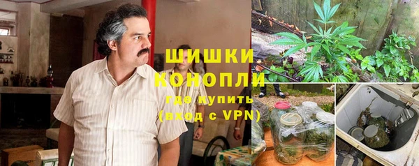ешки Алексеевка
