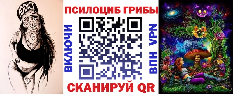 Галлюциногенные грибы Psilocybe  Туринск 