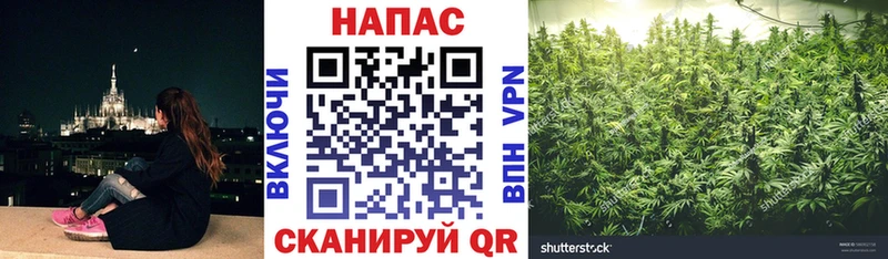ОМГ ОМГ зеркало  что такое   Туринск  Каннабис OG Kush 